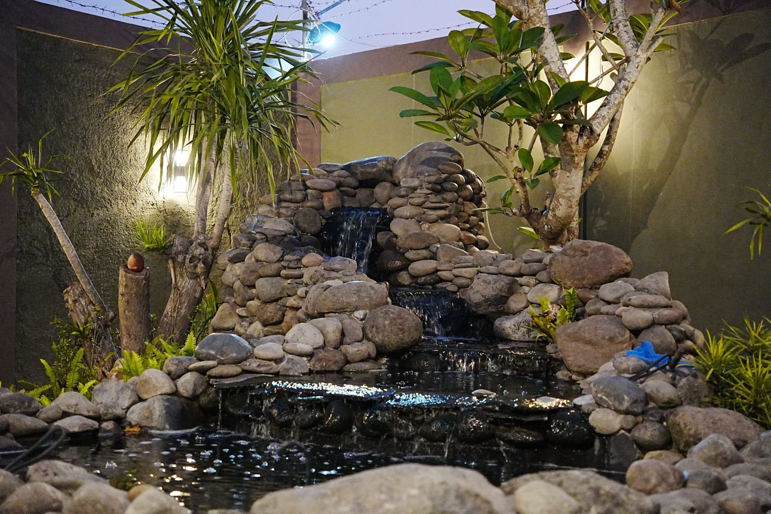 Lush Garden